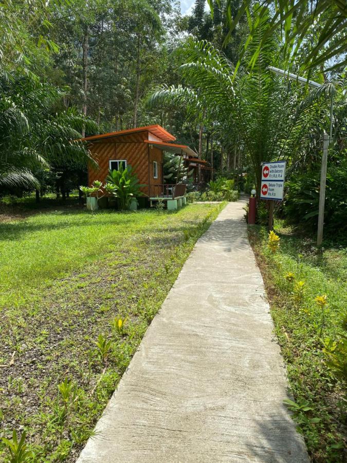 Station touristique Khaosok Bamboo Huts Khao Sok National Park